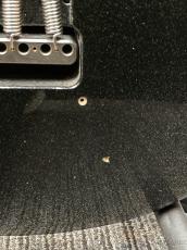 MUSIC MAN LUKE II -Black Sparkle- 2001年製_5