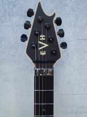 EVH 【BIG SALE ! 】 Wolfgang USA Edward Van Halen Signature -Stealth Black-【MADE IN USA】【3.87kg】_5