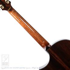 KEYSTONE (西 恵介) SJ Cutaway Dragon_6