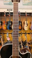 Takamine PTU141C TBS 【無金利分割OK】_6