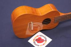Famous 閉店SALE 30% OFF! FC-11G Cherry Concert Ukulele ウクレレ(+3点初心者セット)_4
