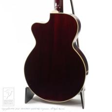 Switch SL-2 Bee (All Mahogany)_3