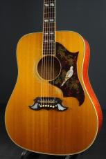 Gibson DOVE Natural_2