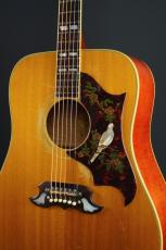 Gibson DOVE Natural_3