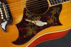 Gibson DOVE Natural_12