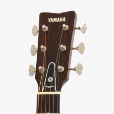 YAMAHA The FG *2009_8