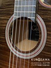 Cordoba コルドバ Model:Fusion 12 Cinnamon Burst【日本総本店2F 在庫品】_3