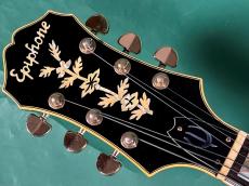 Epiphone EMPEROR S _5