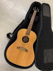 Gibson LG-2 American Eagle Fishman ピックアップ付き!