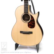 Larrivee The C03R-TE (Tommy Emmanuel Signature)