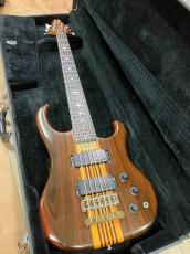 ALEMBIC vector 