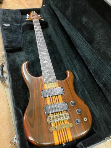 ALEMBIC vector 