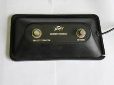 PEAVEY Special 130_6