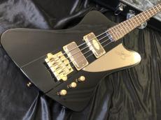 Epiphone Rex Brown Thunderbird Bass -Ebony-_2