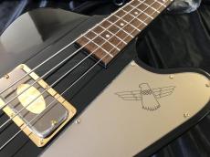 Epiphone Rex Brown Thunderbird Bass -Ebony-_4