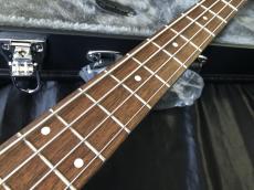 Epiphone Rex Brown Thunderbird Bass -Ebony-_5
