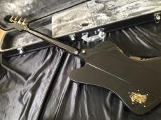 Epiphone Rex Brown Thunderbird Bass -Ebony-_8