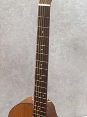 FUJIGEN AG1_5