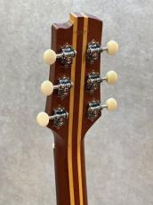 FUJIGEN AG1_6