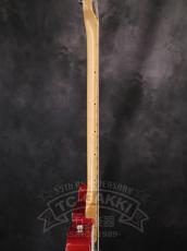 Fender Mexico Classic Series 72 Telecaster Thinline_7