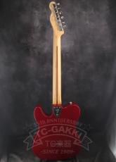 Fender Mexico Classic Series 72 Telecaster Thinline_13