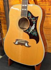 Gibson 【USED】 Doves In Flight 【貴重な初期個体】【豪華絢爛な上位Dove】【40mmネック】_3