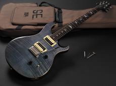 Paul Reed Smith [PRS] SE Custom 24 ~Gray Black~_2