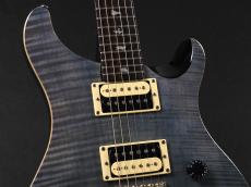 Paul Reed Smith [PRS] SE Custom 24 ~Gray Black~_4