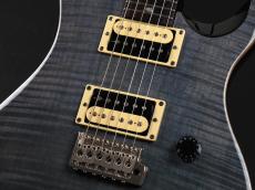 Paul Reed Smith [PRS] SE Custom 24 ~Gray Black~_5