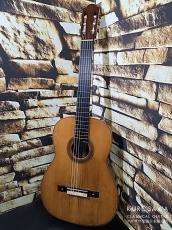 Modesto Borreguero モデスト・ボレゲーロ 1930年製 松・中南米ローズウッド【日本総本店2F 在庫品】_2