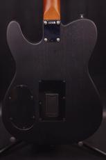 Fender Acoustasonic Standard Telecaster_2