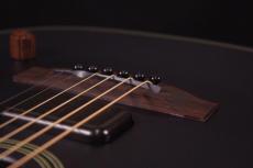 Fender Acoustasonic Standard Telecaster_5