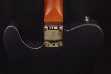 Fender Acoustasonic Standard Telecaster_7