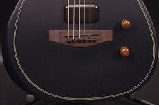 Fender Acoustasonic Standard Telecaster_9