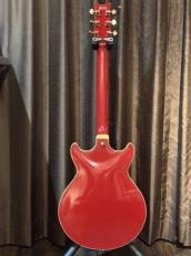 Ibanez AMH-90_2