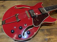 Ibanez AMH-90_3