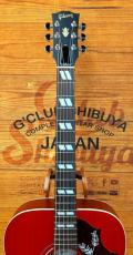 Gibson Hummingbird Special【コスパ最強のハミングバード】【サテンフィニッシュ】【48回払い無金利】_5