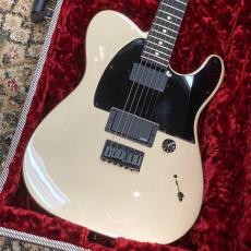Fender Jim Root Telecaster【美品中古】