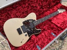 Fender Jim Root Telecaster【美品中古】_2
