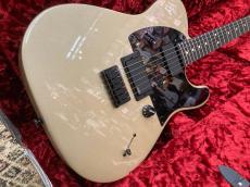 Fender Jim Root Telecaster【美品中古】_3