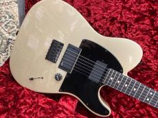 Fender Jim Root Telecaster【美品中古】_4
