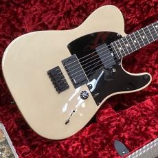 Fender Jim Root Telecaster【美品中古】_8