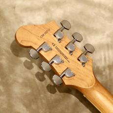 Baum Guitars Conquer 59 with Tremolo, Silver Jade_5