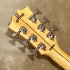 D'Angelico Deluxe Series Deluxe Brighton Vintage Sunburst_5