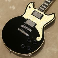 D'Angelico Premier Series Premier Brighton, Black Flake
