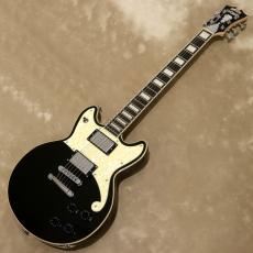 D'Angelico Premier Series Premier Brighton, Black Flake_2