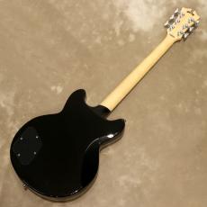 D'Angelico Premier Series Premier Brighton, Black Flake_3