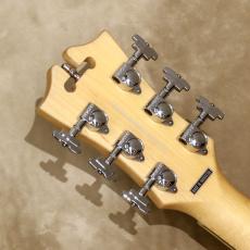 D'Angelico Premier Series Premier Brighton, Black Flake_5