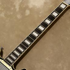 D'Angelico Premier Series Premier Brighton, Black Flake_6