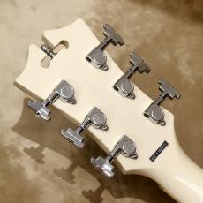 D'Angelico Premier Series SS, Champagne_5